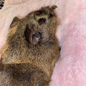 Meet your Posher, Stephanie